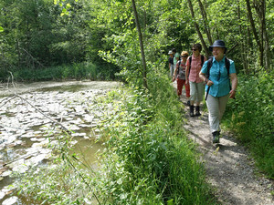 DSC08569-Wanderung mit Dagmar Bujack.jpg